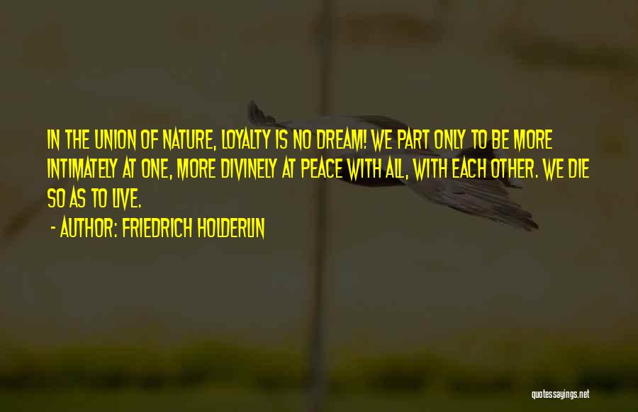 No More Dream Quotes By Friedrich Holderlin