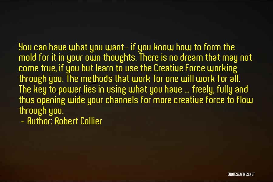 No More Dream Quotes By Robert Collier