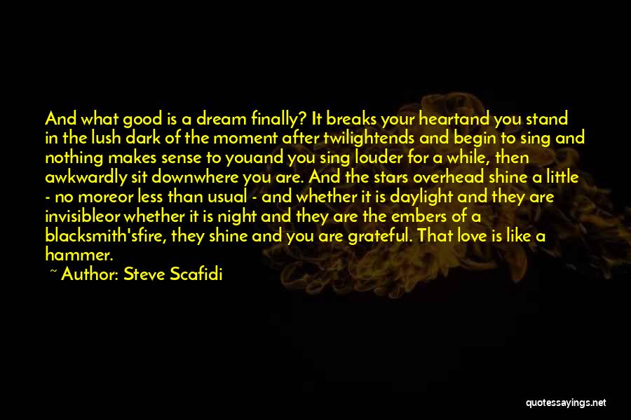 No More Dream Quotes By Steve Scafidi