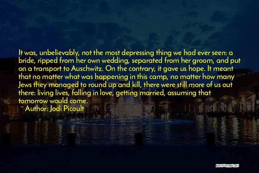 No More Falling In Love Quotes By Jodi Picoult