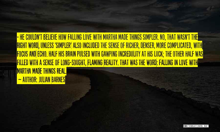 No More Falling In Love Quotes By Julian Barnes