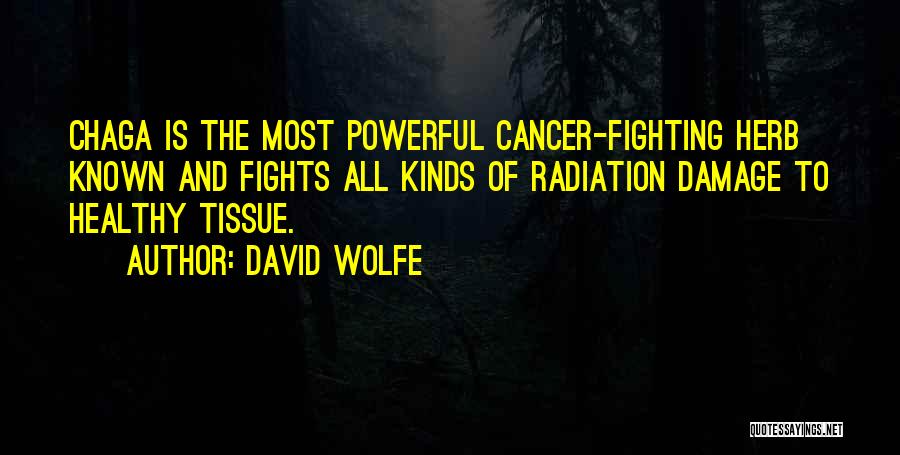 No More Fights Quotes By David Wolfe