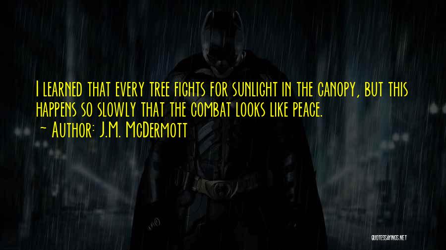 No More Fights Quotes By J.M. McDermott