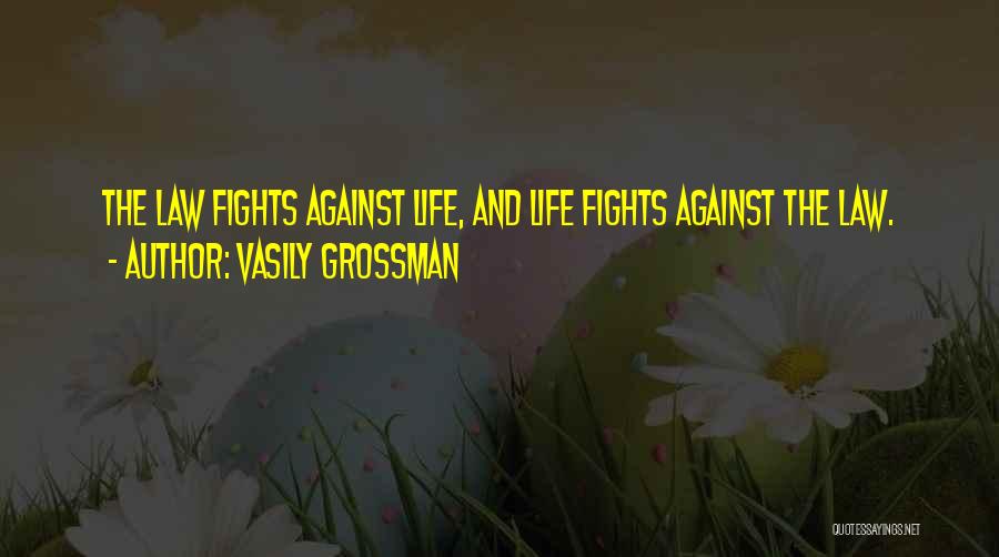 No More Fights Quotes By Vasily Grossman