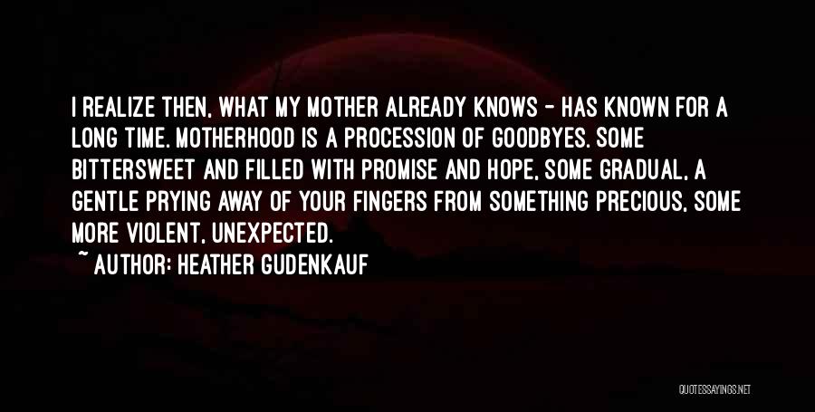 No More Goodbyes Quotes By Heather Gudenkauf