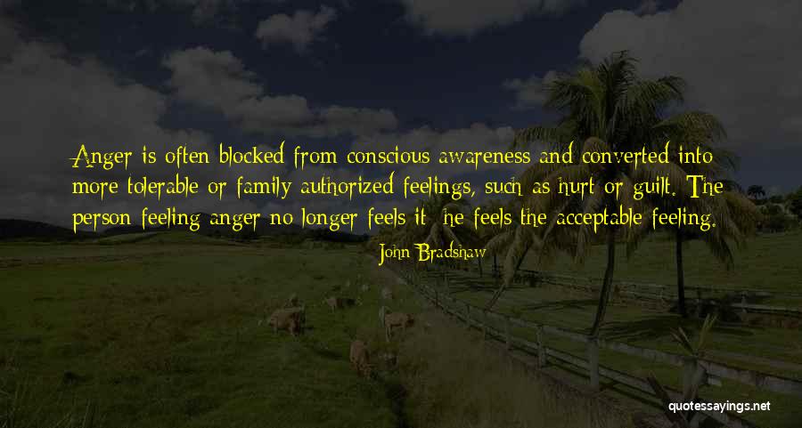 No More Hurt Quotes By John Bradshaw No More Hurt Quotes By John Bradshaw