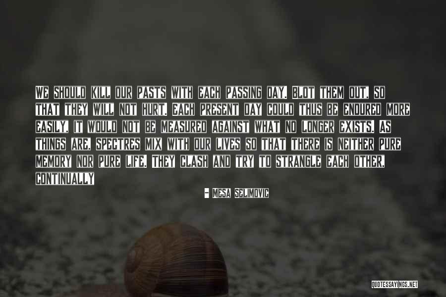 No More Hurt Quotes By Mesa Selimovic No More Hurt Quotes By Mesa Selimovic