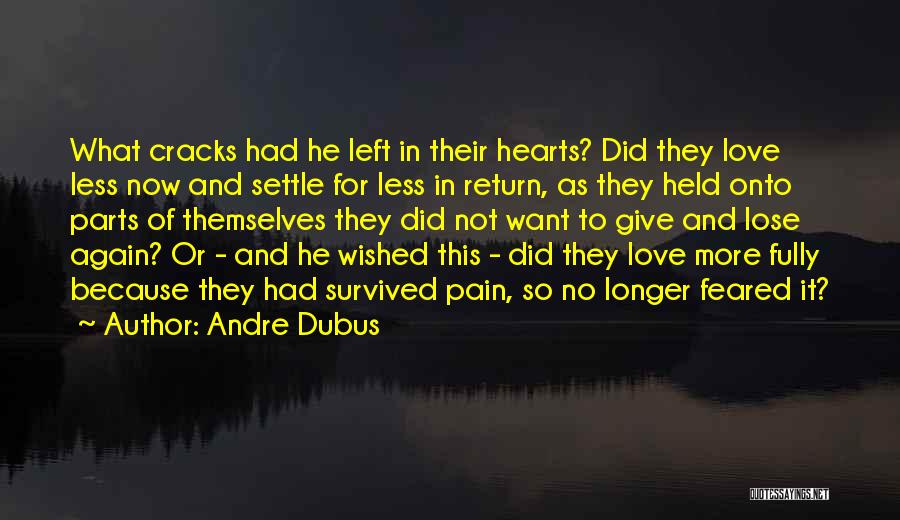 No More Love No More Pain Quotes By Andre Dubus