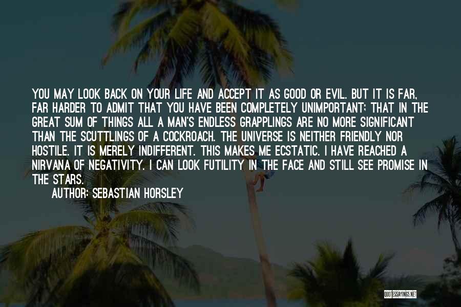 No More Negativity Quotes By Sebastian Horsley