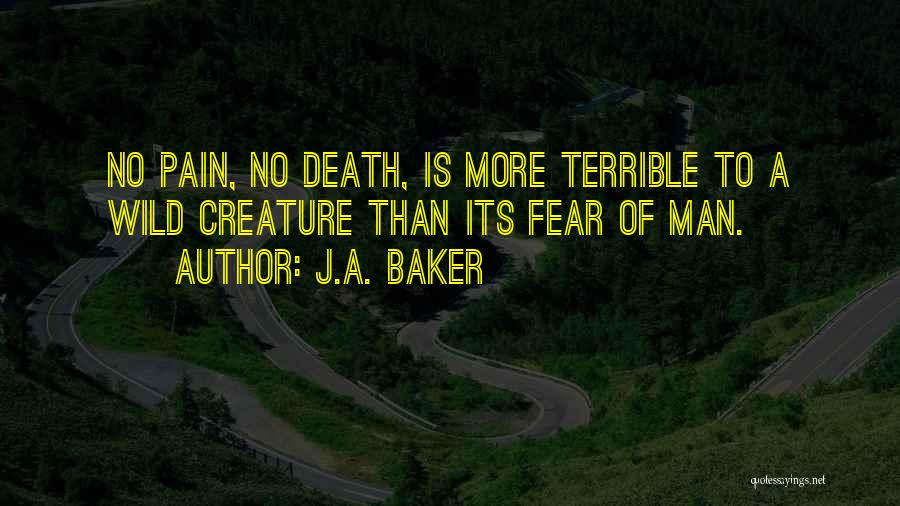 No More Pain Death Quotes By J.A. Baker