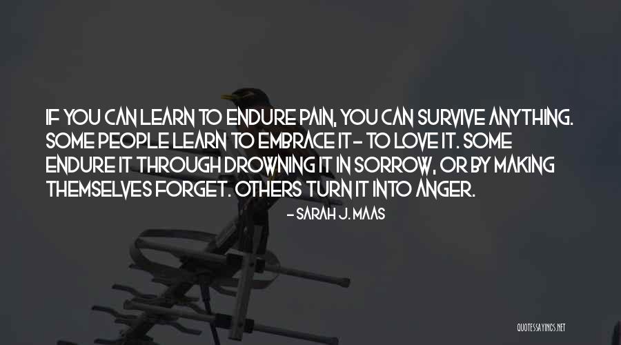 No More Pain No More Sorrow Quotes By Sarah J. Maas No More Pain No More Sorrow Quotes By Sarah J. Maas