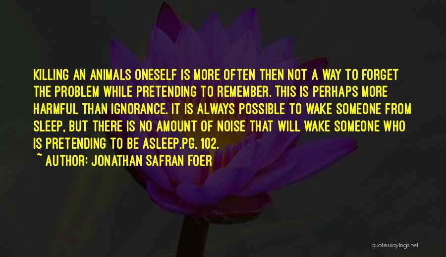 No More Pretending Quotes By Jonathan Safran Foer