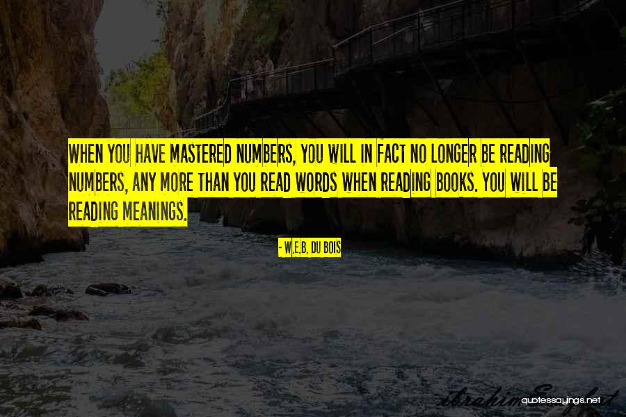 No More Reading Quotes By W.E.B. Du Bois