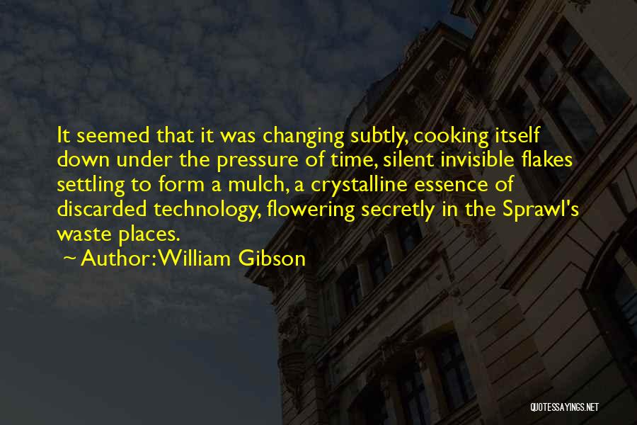 No More Settling Quotes By William Gibson
