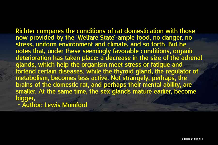 No More Stress Quotes By Lewis Mumford