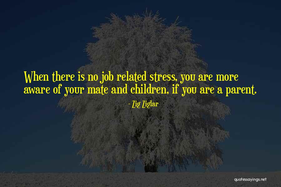 No More Stress Quotes By Zig Ziglar