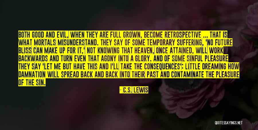 No More Suffering In Heaven Quotes By C.S. Lewis