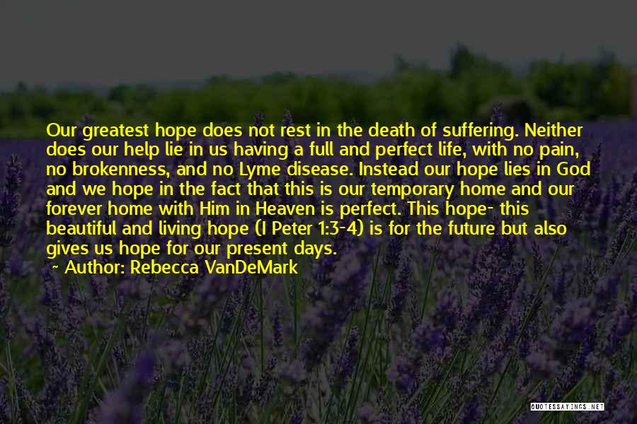 No More Suffering In Heaven Quotes By Rebecca VanDeMark