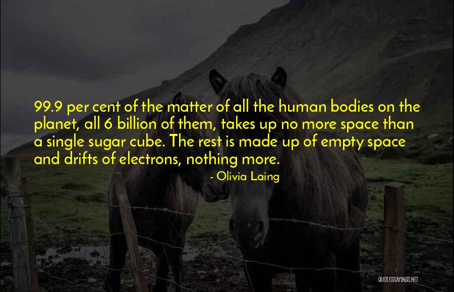 No More Sugar Quotes By Olivia Laing