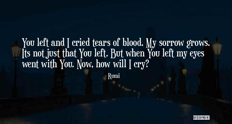 No More Tears Left To Cry Quotes By Rumi