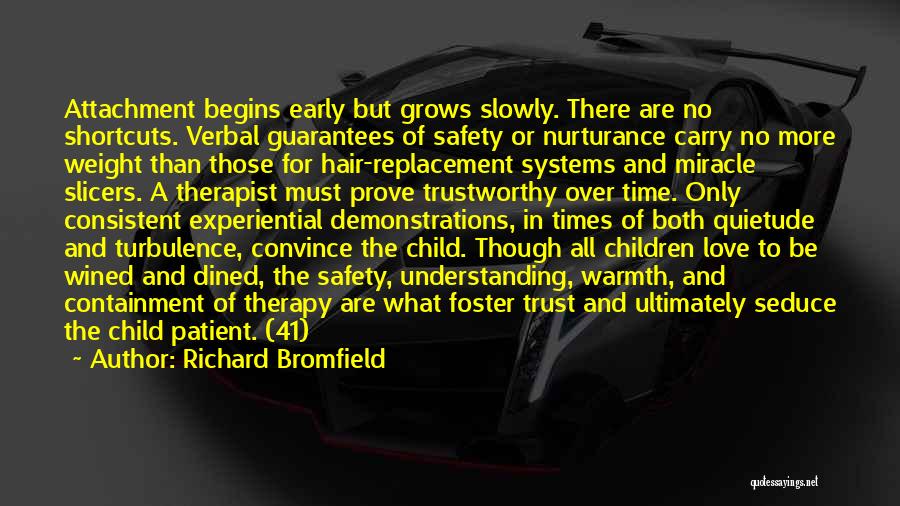 No More Understanding Quotes By Richard Bromfield