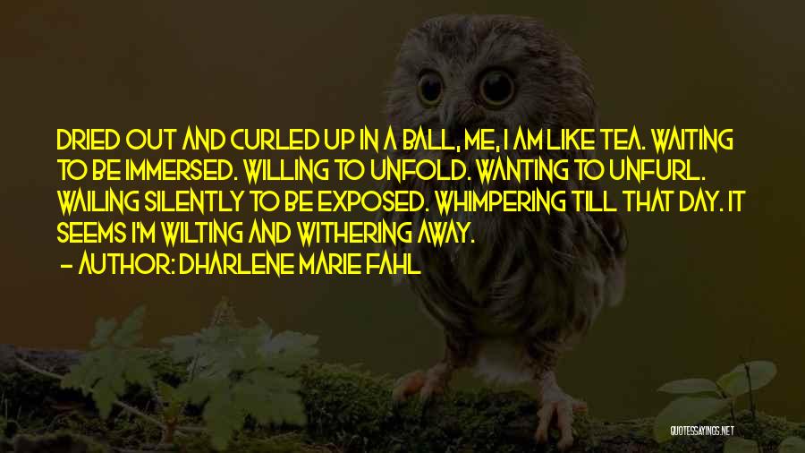 No More Waiting Love Quotes By Dharlene Marie Fahl