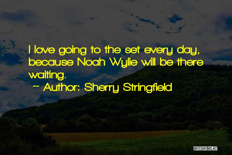 No More Waiting Love Quotes By Sherry Stringfield