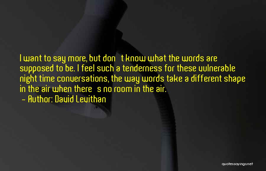 No More Words To Say Quotes By David Levithan