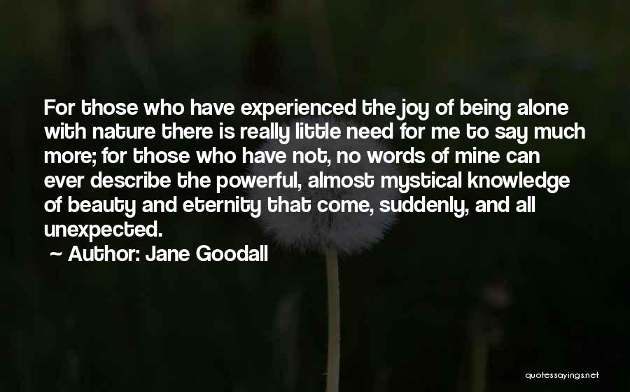 No More Words To Say Quotes By Jane Goodall
