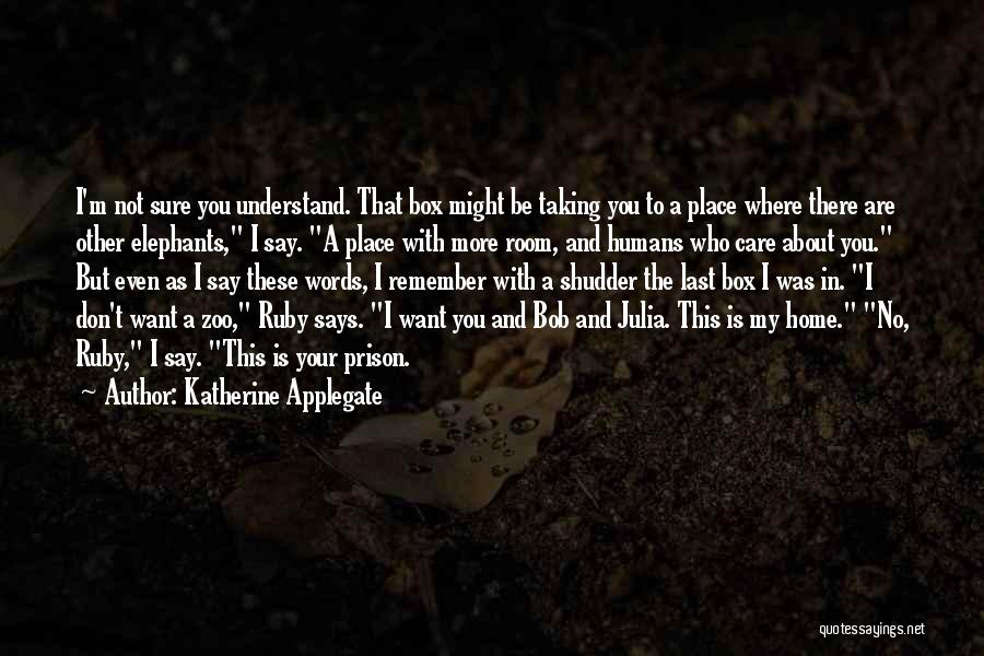No More Words To Say Quotes By Katherine Applegate