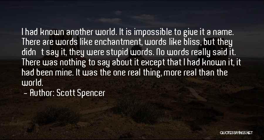 No More Words To Say Quotes By Scott Spencer