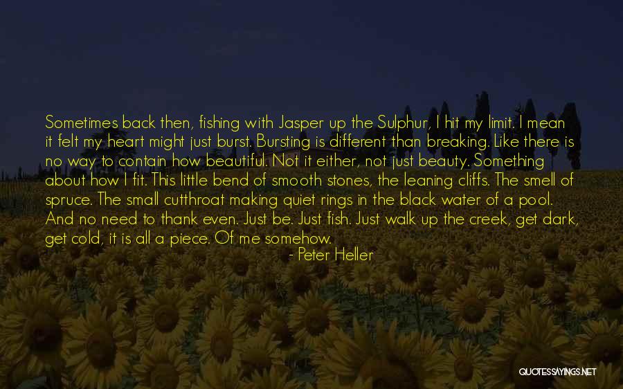 No Need To Get Even Quotes By Peter Heller No Need To Get Even Quotes By Peter Heller