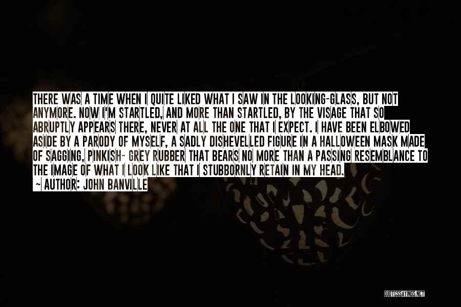 No One But Myself Quotes By John Banville