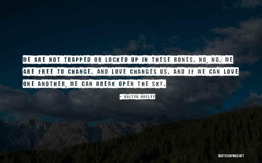 No One Can Break Us Up Quotes By Walter Mosley No One Can Break Us Up Quotes By Walter Mosley