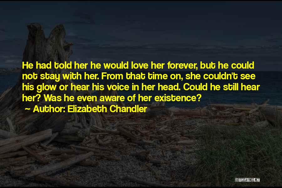 No One Can Stay With You Forever Quotes By Elizabeth Chandler