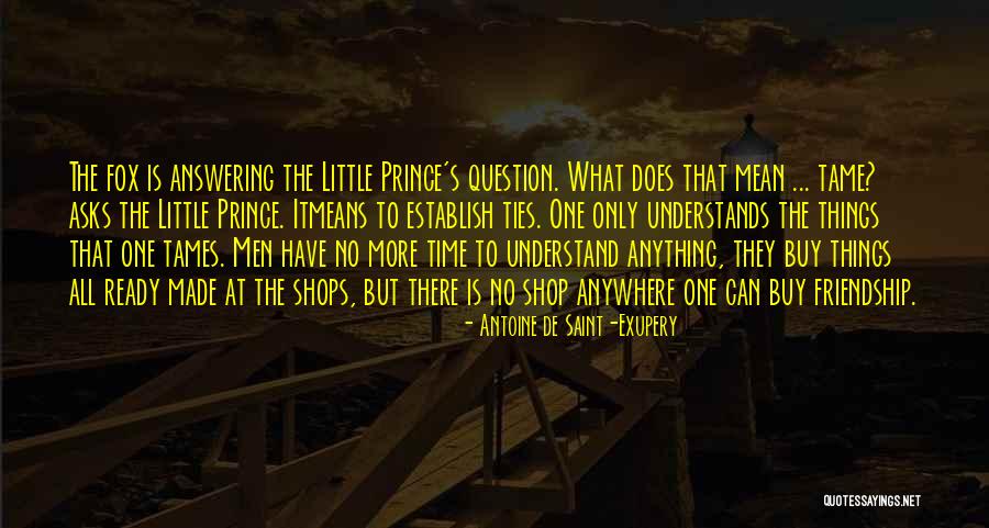 No One Can Understand Quotes By Antoine De Saint-Exupery