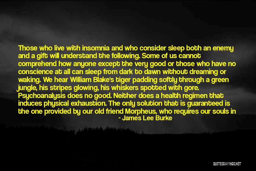 No One Can Understand Quotes By James Lee Burke No One Can Understand Quotes By James Lee Burke
