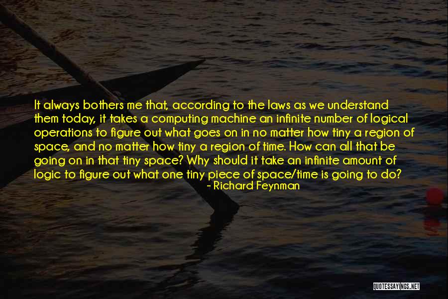 No One Can Understand Quotes By Richard Feynman