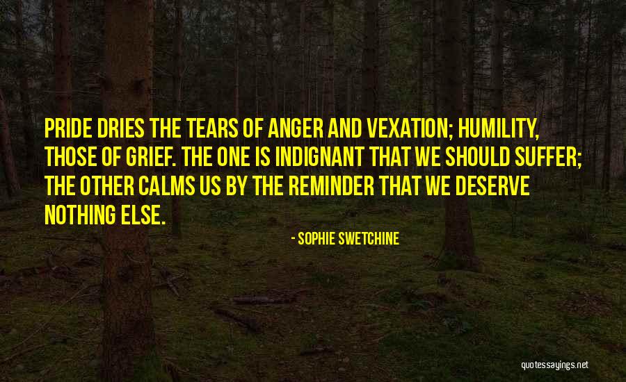 No One Deserve Your Tears Quotes By Sophie Swetchine No One Deserve Your Tears Quotes By Sophie Swetchine