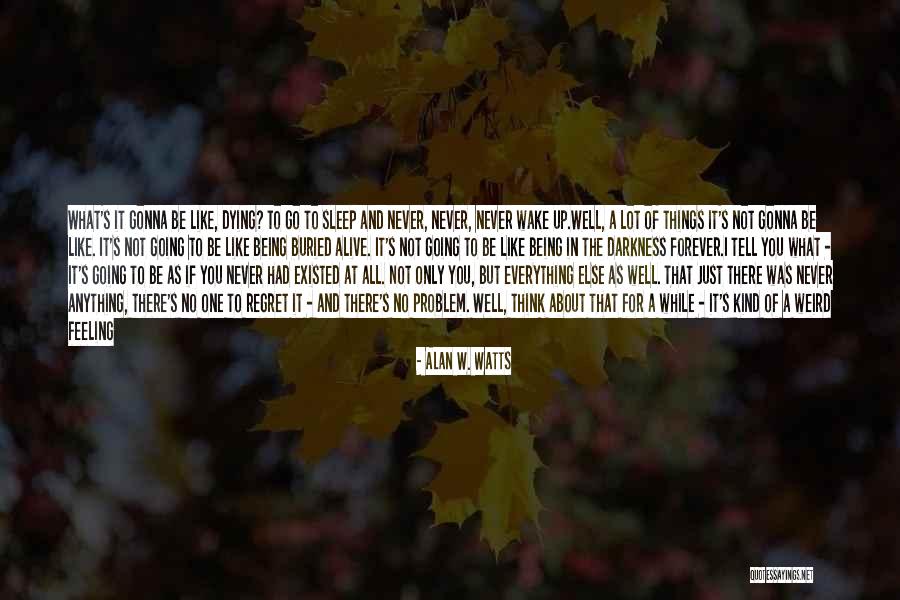 No One Else Like You Quotes By Alan W. Watts