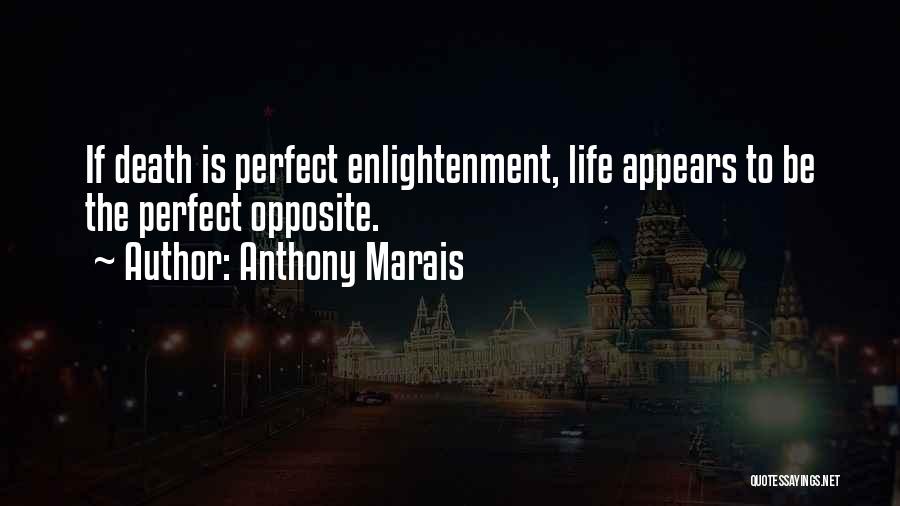 No One Has A Perfect Life Quotes By Anthony Marais