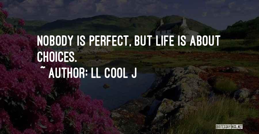 No One Has A Perfect Life Quotes By LL Cool J