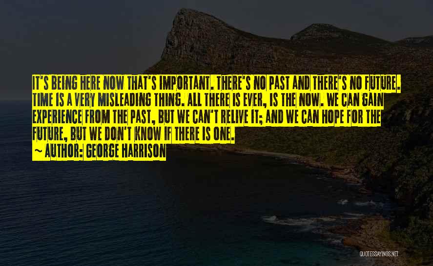 No One Is Important Quotes By George Harrison
