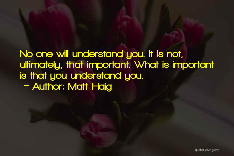 No One Is Important Quotes By Matt Haig