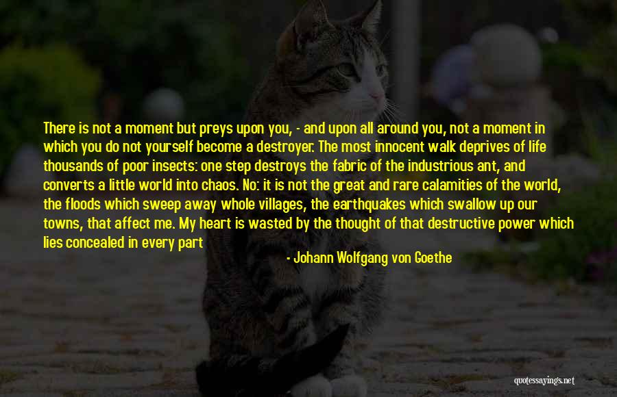 No One Is Innocent Quotes By Johann Wolfgang Von Goethe No One Is Innocent Quotes By Johann Wolfgang Von Goethe