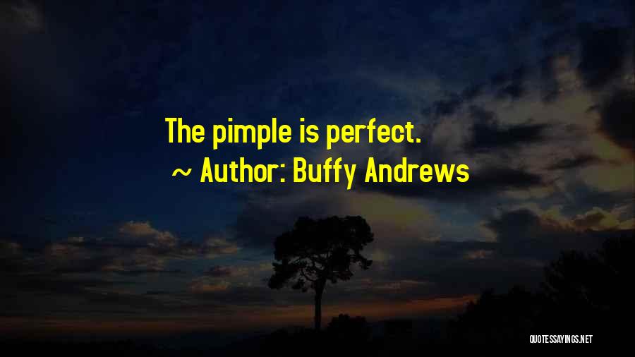 No One Is Perfect Funny Quotes By Buffy Andrews