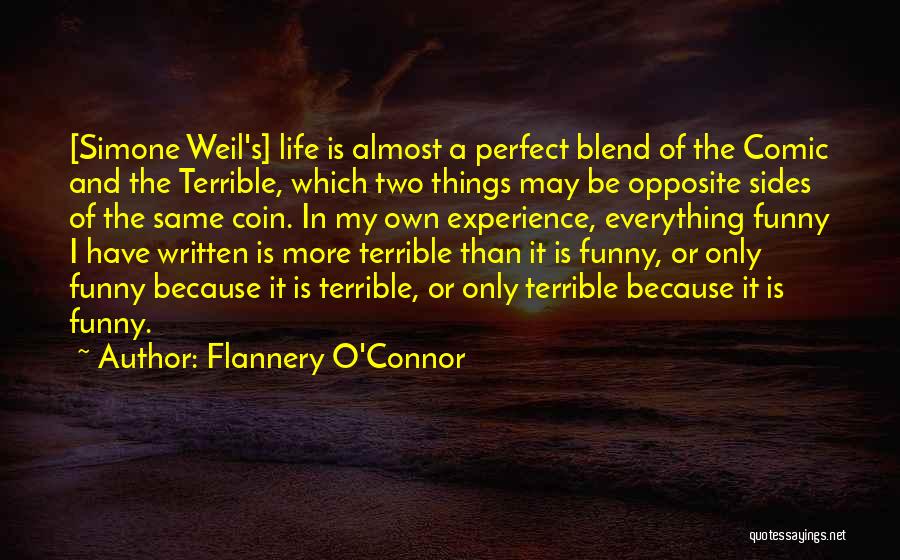 No One Is Perfect Funny Quotes By Flannery O'Connor