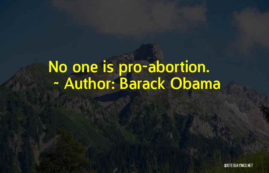No One Is Quotes By Barack Obama