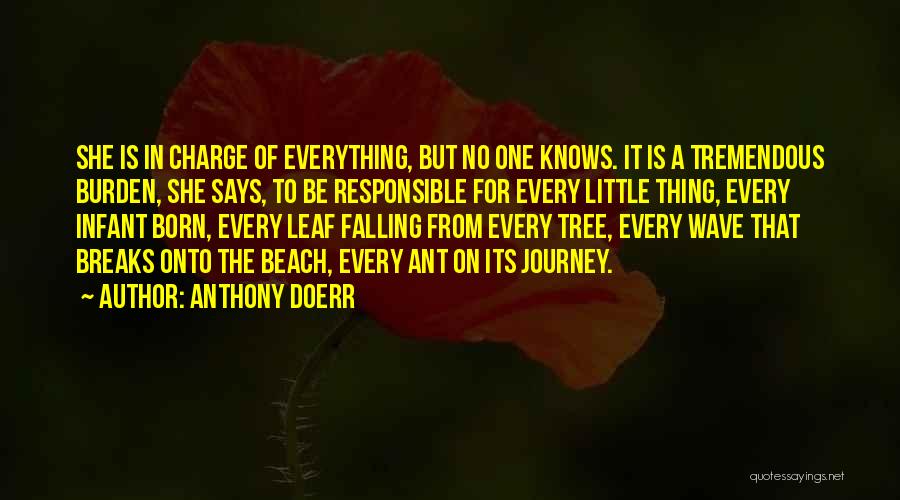 No One Knows Everything Quotes By Anthony Doerr