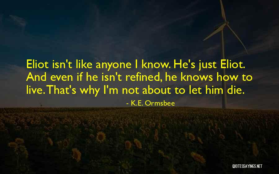 No One Knows Me Like You Do Quotes By K.E. Ormsbee